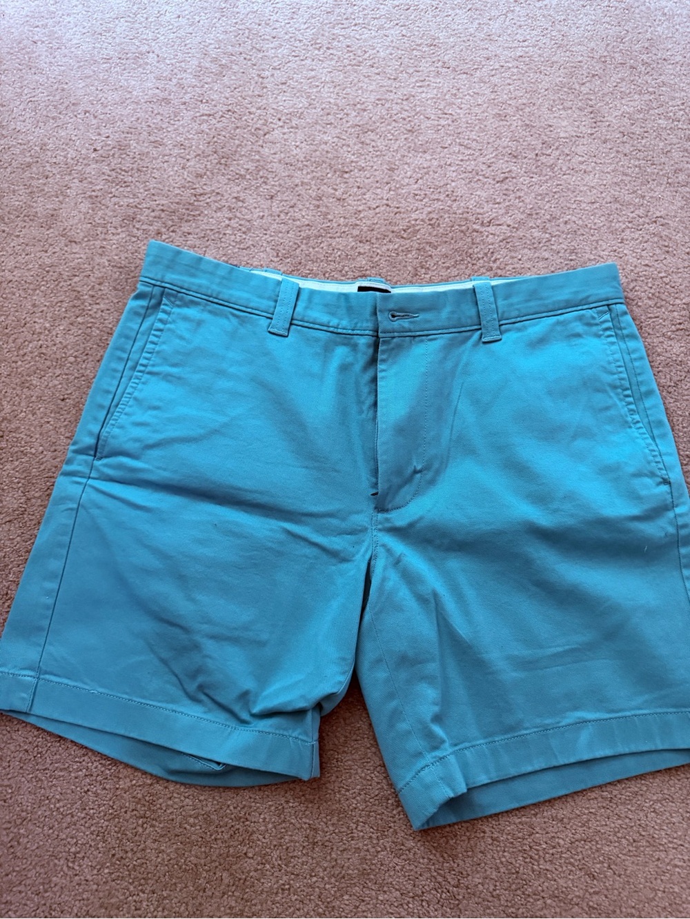 J. Crew Men's Turquoise Flat Front Shorts